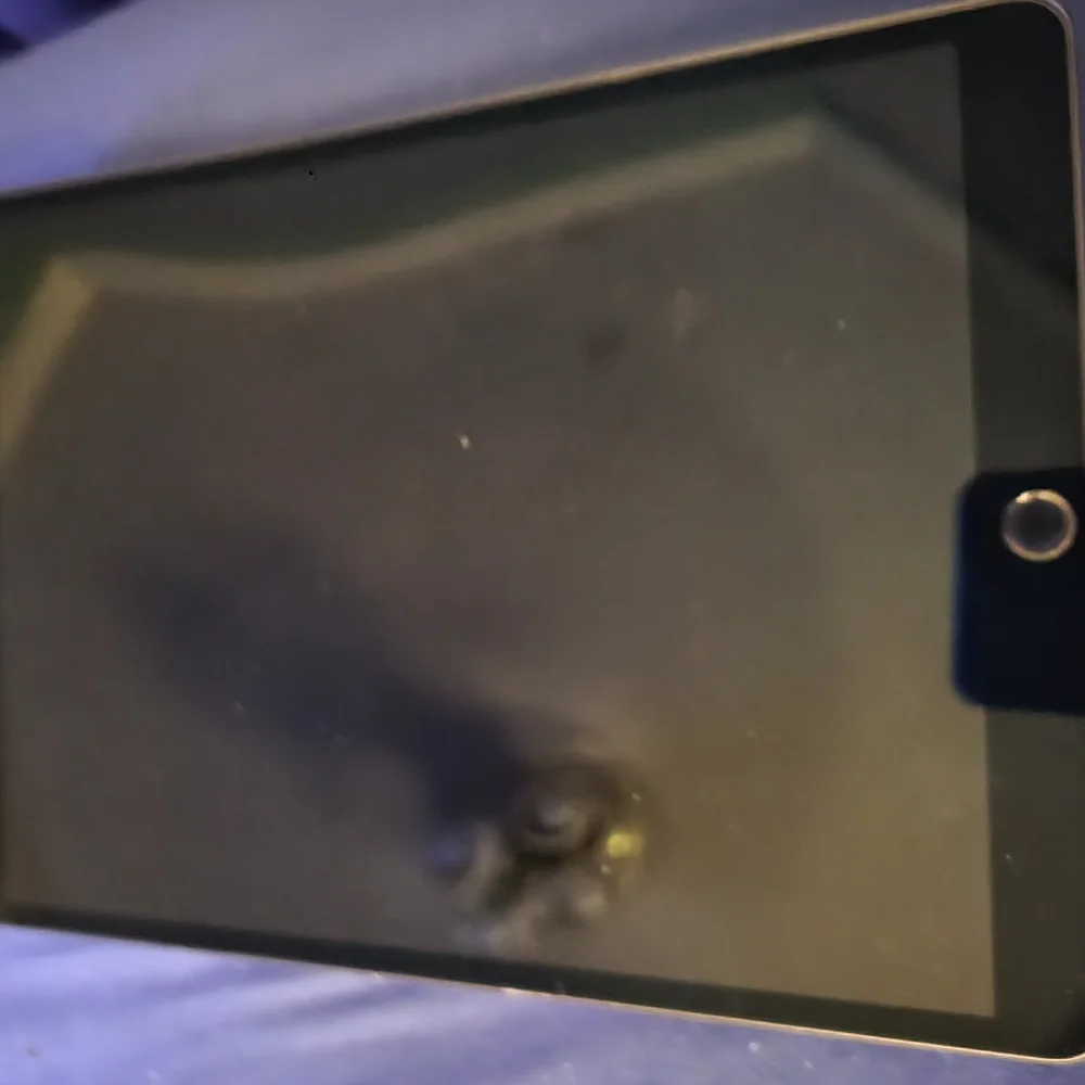 Apple iPad with Blue and Green Display